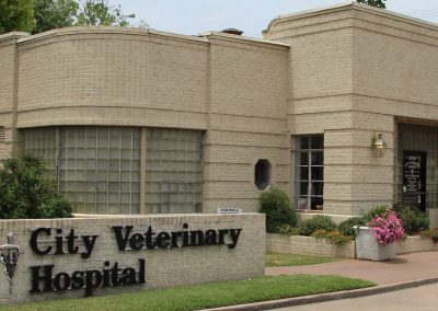 City Veterinary Hospital of Tulsa
